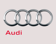 Audi Client Details